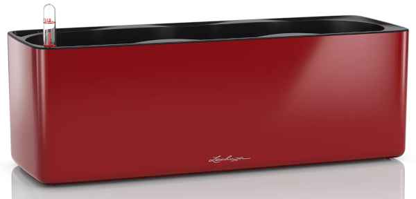 CUBE Glossy Triple Scarlet Red